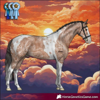 Horse Color:Bay Ice Splash Tobiano