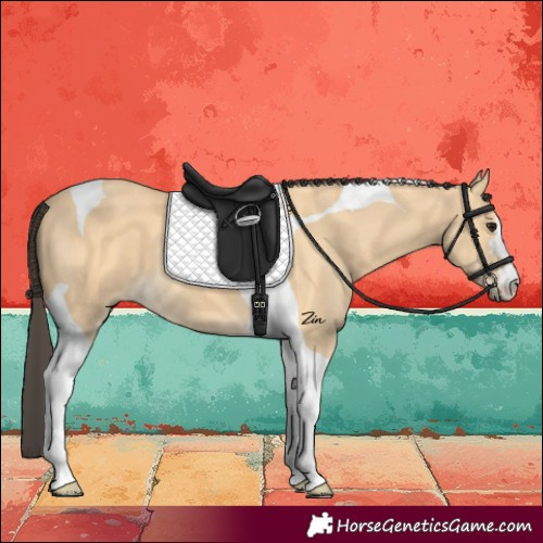 Horse Color:Buckskin Tobiano