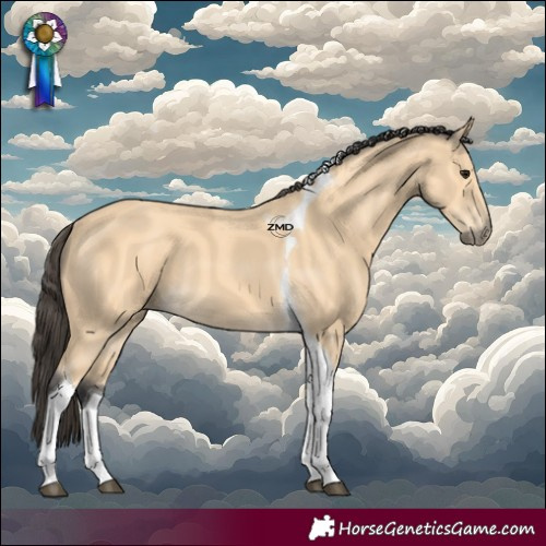 Horse Color:Buckskin Tobiano