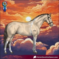 Horse Color:Buckskin Tobiano