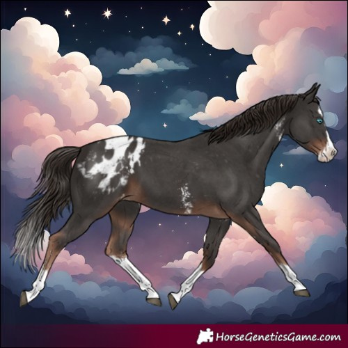Horse Color:Liver Chestnut Sabino Splash Blanket 