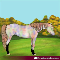 Horse Color:Void Nacre Buckskin Pearl Tobiano 