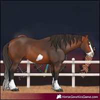 Horse Color:Bay Splash Frame Rabicano