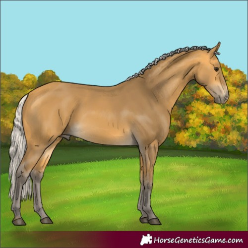 Horse Color:Silver Buckskin 