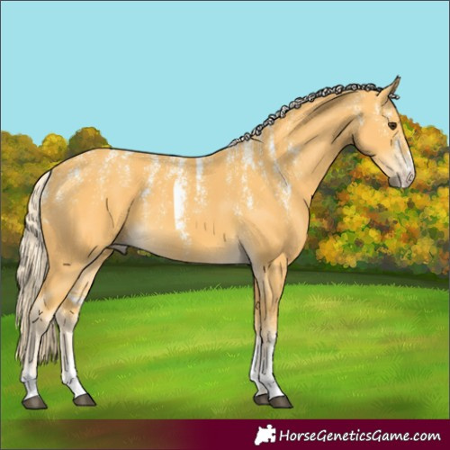 Horse Color:Powder White Palomino