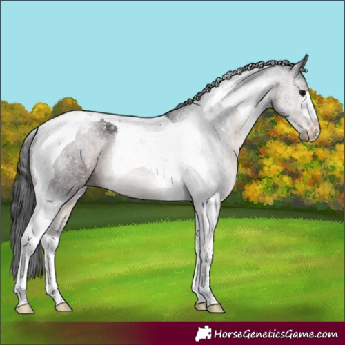Horse Color:Brown Tobiano Varnish