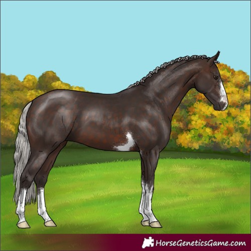 Horse Color:Silver Brown