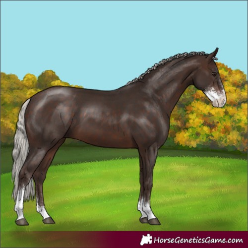 Horse Color:Silver Brown Sabino