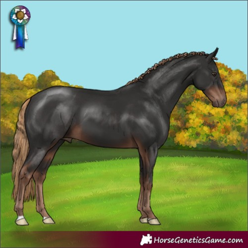 Horse Color:Liver Chestnut