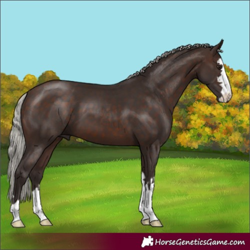 Horse Color:Silver Brown