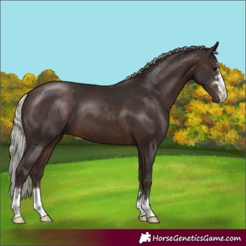 Horse Color:Silver Brown