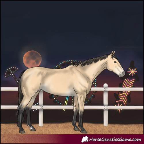 Horse Color:Buckskin 
