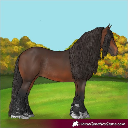 Horse Color:Brown Rabicano and Brown Rabicano