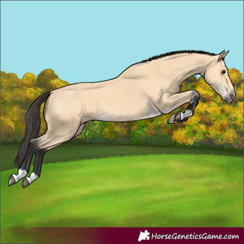 Horse Color:Buckskin