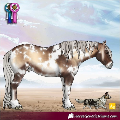 Horse Color:White Spotted Silver Brown Onyx