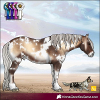 Horse Color:White Spotted Silver Brown Onyx