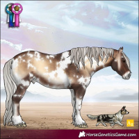 Horse Color:White Spotted Silver Brown Onyx 