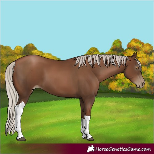 Horse Color:Gray Silver Black Pearl Tobiano 