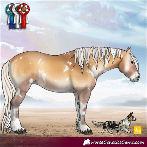 Horse Color:White Spotted Silver Buckskin Onyx