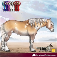 Horse Color:White Spotted Silver Buckskin Onyx 