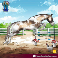 Horse Color:White Spotted Liver Red Onyx