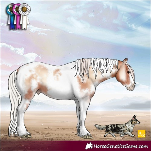 Horse Color:White Spotted Silver Classic Champagne Onyx Tobiano Frame 
