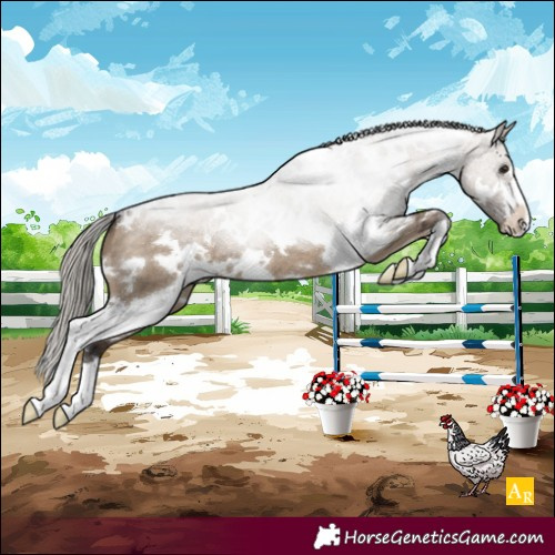 Horse Color:White Spotted Silver Brown Dun 