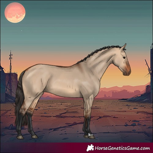 Horse Color:Bay Dun 