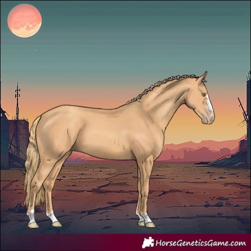 Horse Color:Gold Champagne 