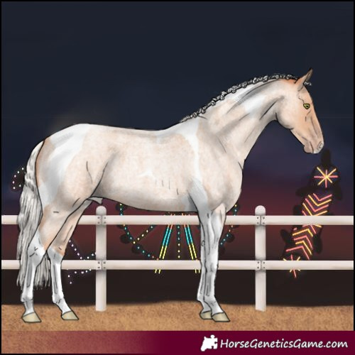 Horse Color:Silver Amber Champagne Roan Tobiano
