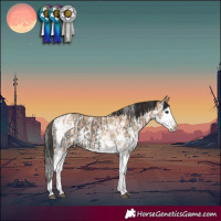 Horse Color:Grullo Sabino Splash Tobiano and Bay Dun Sabino Splash