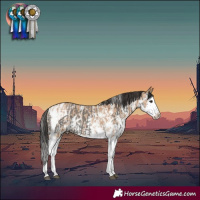 Horse Color:Grullo Sabino Splash Tobiano  and Bay Dun Sabino Splash 