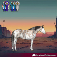 Horse Color:Grullo Sabino Splash Tobiano  and Bay Dun Sabino Splash 