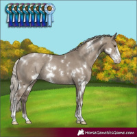 Horse Color:White Spotted Silver Smoky Grullo Sabino Rabicano
