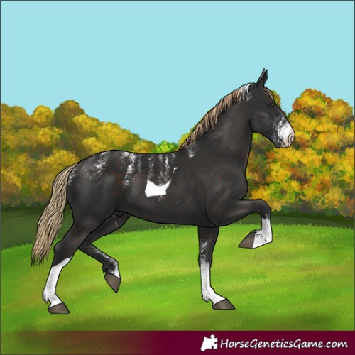 Horse Color:Powder White Liver Chestnut Tobiano