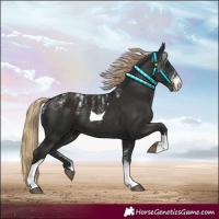Horse Color:Powder White Liver Chestnut Tobiano 