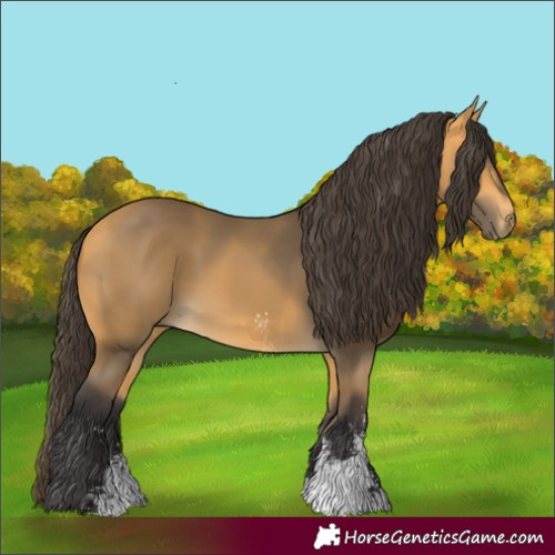 Horse Color:Buckskin Sabino