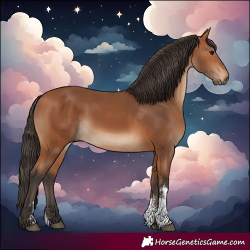Horse Color:Bay Sabino