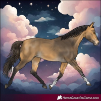 Horse Color:Buckskin Sabino