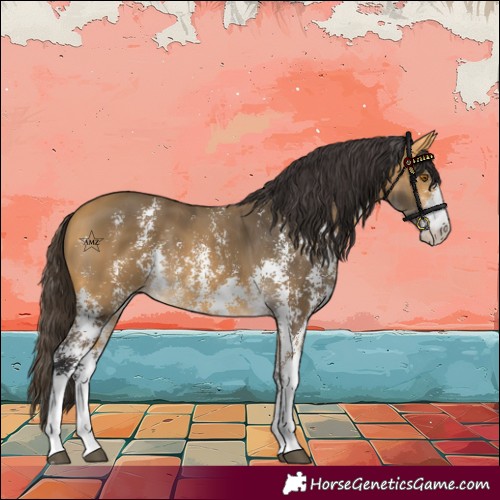Horse Color:Buckskin Sabino 