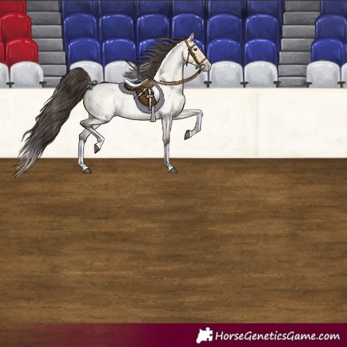 Horse Color:Buckskin Roan Dun Splash