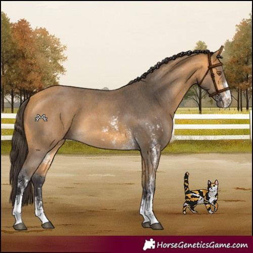 Horse Color:Buckskin Sabino 