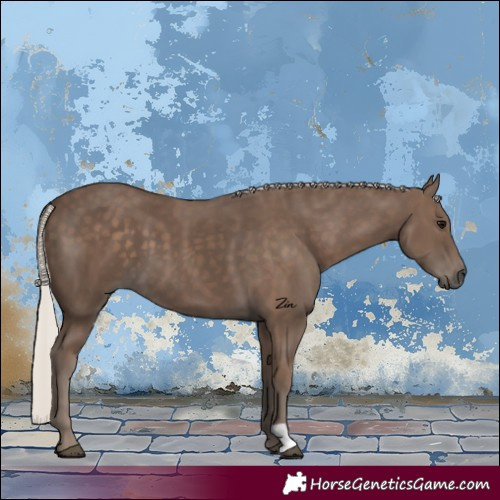 Horse Color:Silver Black 