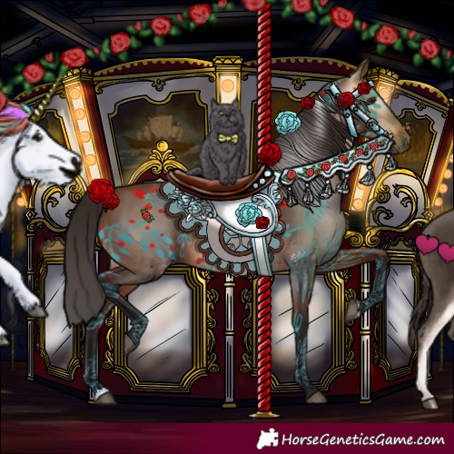 Horse Color:Gray Bay 