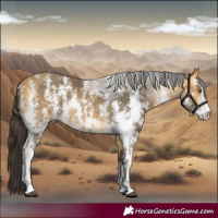 Horse Color:Buckskin Sabino
