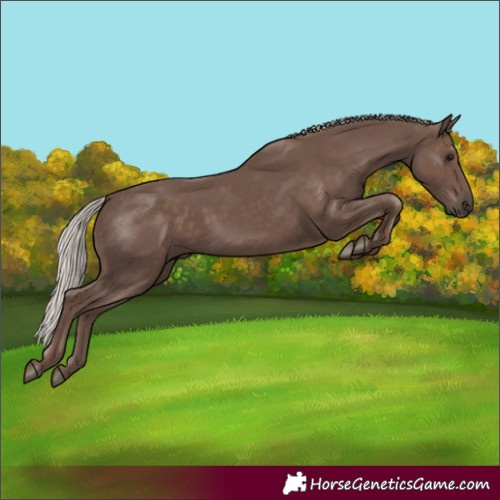 Horse Color:Silver Black