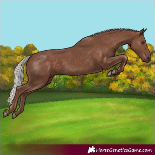 Horse Color:Silver Black