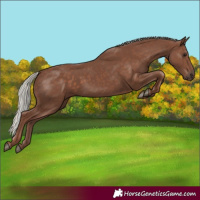 Horse Color:Silver Black 