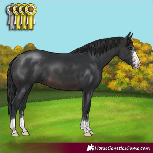 Horse Color:Brown 