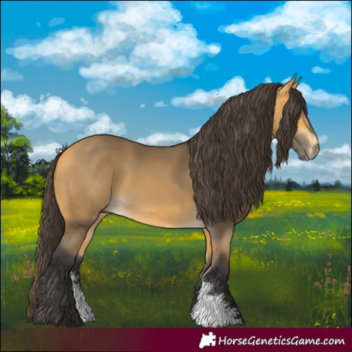 Horse Color:Buckskin Sabino 